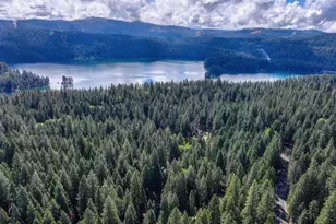 4580 Jenkinson Cir, Pollock Pines, CA 95726 - Photo 75