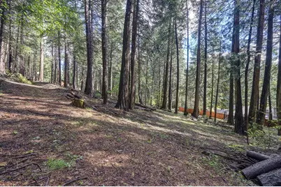 4580 Jenkinson Circle, Pollock Pines, CA 95726 - Photo 55