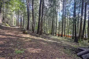 4580 Jenkinson Cir, Pollock Pines, CA 95726 - Photo 55