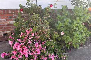 7654 Baird Way, Citrus Heights, CA 95610 - Photo 43