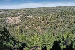 19015 E Pine Dr, Pioneer, CA 95666 - Photo 81