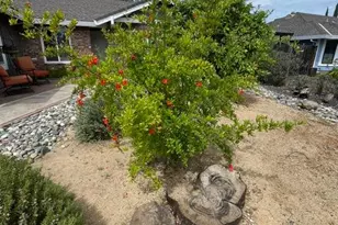 2377 Glacier Dr, Rocklin, CA 95677 - Photo 17