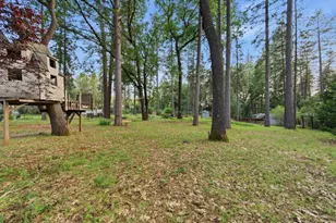 16856 Scott Way, Grass Valley, CA 95949 - Photo 57