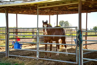 12518 Lone Oak Road, Waterford, CA 95386 - Photo 39