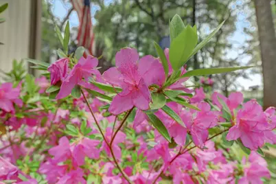 11774 Skipper Court, Penn Valley, CA 95946 - Photo 67