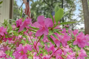 11774 Skipper Ct, Penn Valley, CA 95946 - Photo 67