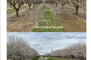 18275 Jensen Ln, Esparto, CA 95627 - Photo 1