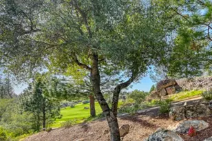 1412 Lodge View Dr, Meadow Vista, CA 95722 - Photo 37