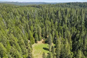 14138 La Porte Rd, Strawberry Valley, CA 95981 - Photo 53