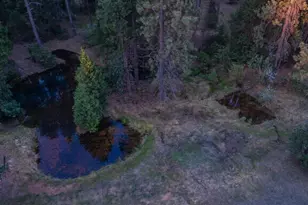 14138 La Porte Rd, Strawberry Valley, CA 95981 - Photo 47