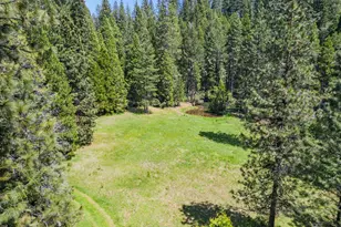14138 La Porte Rd, Strawberry Valley, CA 95981 - Photo 5