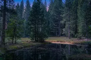 14138 La Porte Rd, Strawberry Valley, CA 95981 - Photo 47