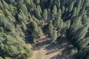 14138 La Porte Rd, Strawberry Valley, CA 95981 - Photo 61