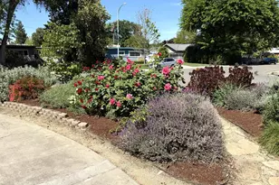 938 Snyder, Davis, CA 95616 - Photo 5