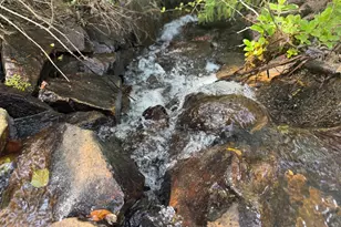 225 Greenbush Rd, Oroville, CA 95966 - Photo 33