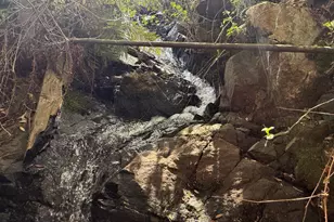 225 Greenbush Rd, Oroville, CA 95966 - Photo 39