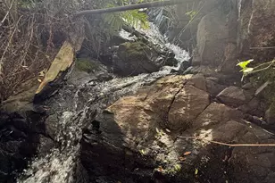 225 Greenbush Rd, Oroville, CA 95966 - Photo 35