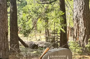 3292 El Camino Boot Strap, Arnold, CA 95223 - Photo 25