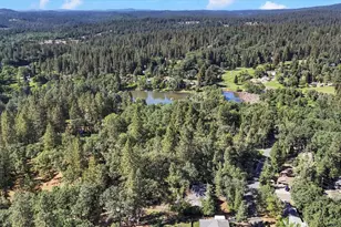 16800 Scott Way, Grass Valley, CA 95949 - Photo 99
