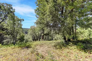 18955 Lake City Rd, Nevada City, CA 95959 - Photo 91