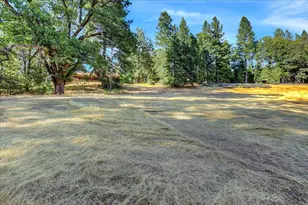 18955 Lake City Rd, Nevada City, CA 95959 - Photo 77