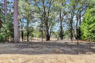 18955 Lake City Rd, Nevada City, CA 95959 - Photo 93