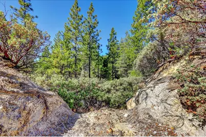 18955 Lake City Road, Nevada City, CA 95959 - Photo 85