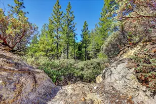 18955 Lake City Rd, Nevada City, CA 95959 - Photo 85