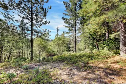 18955 Lake City Road, Nevada City, CA 95959 - Photo 89