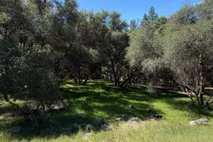 11500 Buckeye Cir, Penn Valley, CA 95946 - Photo 1