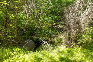 7220 Grizzly Flat Rd, Somerset, CA 95684 - Photo 17