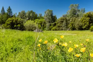 7220 Grizzly Flat Rd, Somerset, CA 95684 - Photo 13