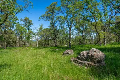 9185 Ridge Road, Newcastle, CA 95658 - Photo 7