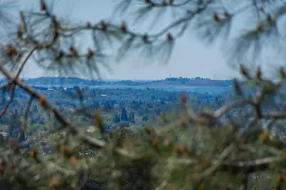 9185 Ridge Road, Newcastle, CA 95658 - Photo 33