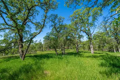 9185 Ridge Road, Newcastle, CA 95658 - Photo 5