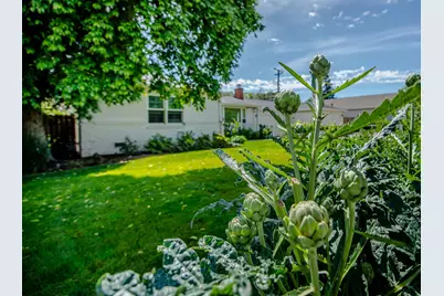 3310 Potter Lane, Sacramento, CA 95821 - Photo 3