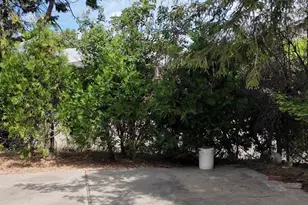 811 Lucille St, Livermore, CA 94550 - Photo 13