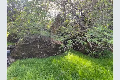 10601 Acorn Lane, Angels Camp, CA 95222 - Photo 3