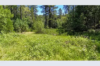 12666 Robinson Road, Nevada City, CA 95959 - Photo 53