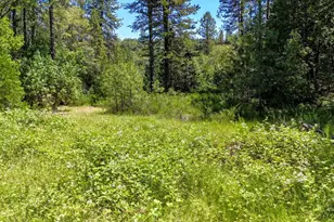12666 Robinson Rd, Nevada City, CA 95959 - Photo 53
