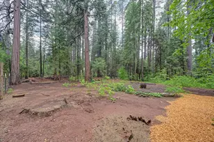 34180 Cable Rd, Alta, CA 95701 - Photo 51