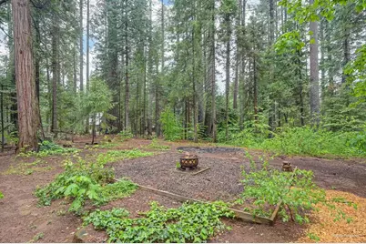 34180 Cable Road, Alta, CA 95701 - Photo 49
