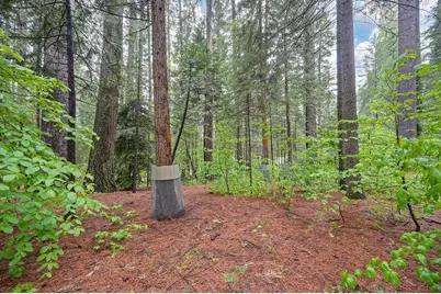 34180 Cable Road, Alta, CA 95701 - Photo 57
