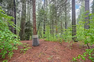 34180 Cable Rd, Alta, CA 95701 - Photo 57