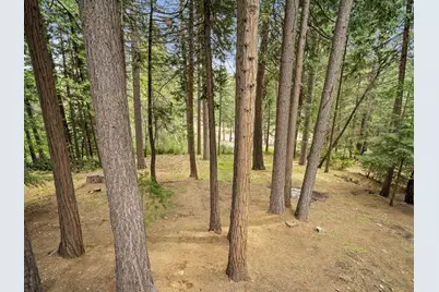 5123 Rainbow Trail, Pollock Pines, CA 95726 - Photo 23