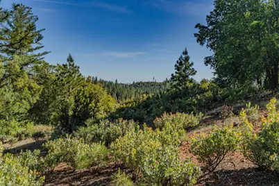 211 Fox Road, Glencoe, CA 95232 - Photo 85