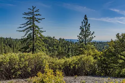 211 Fox Road, Glencoe, CA 95232 - Photo 83