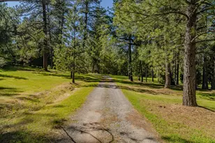 211 Fox Rd, Glencoe, CA 95232 - Photo 79