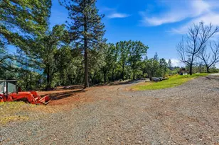 10784 Cole Way, Grass Valley, CA 95945 - Photo 49