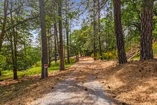 2240 Slate Ct, Greenwood, CA 95635 - Photo 41